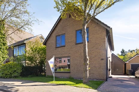 Bickerstraat thumbnail