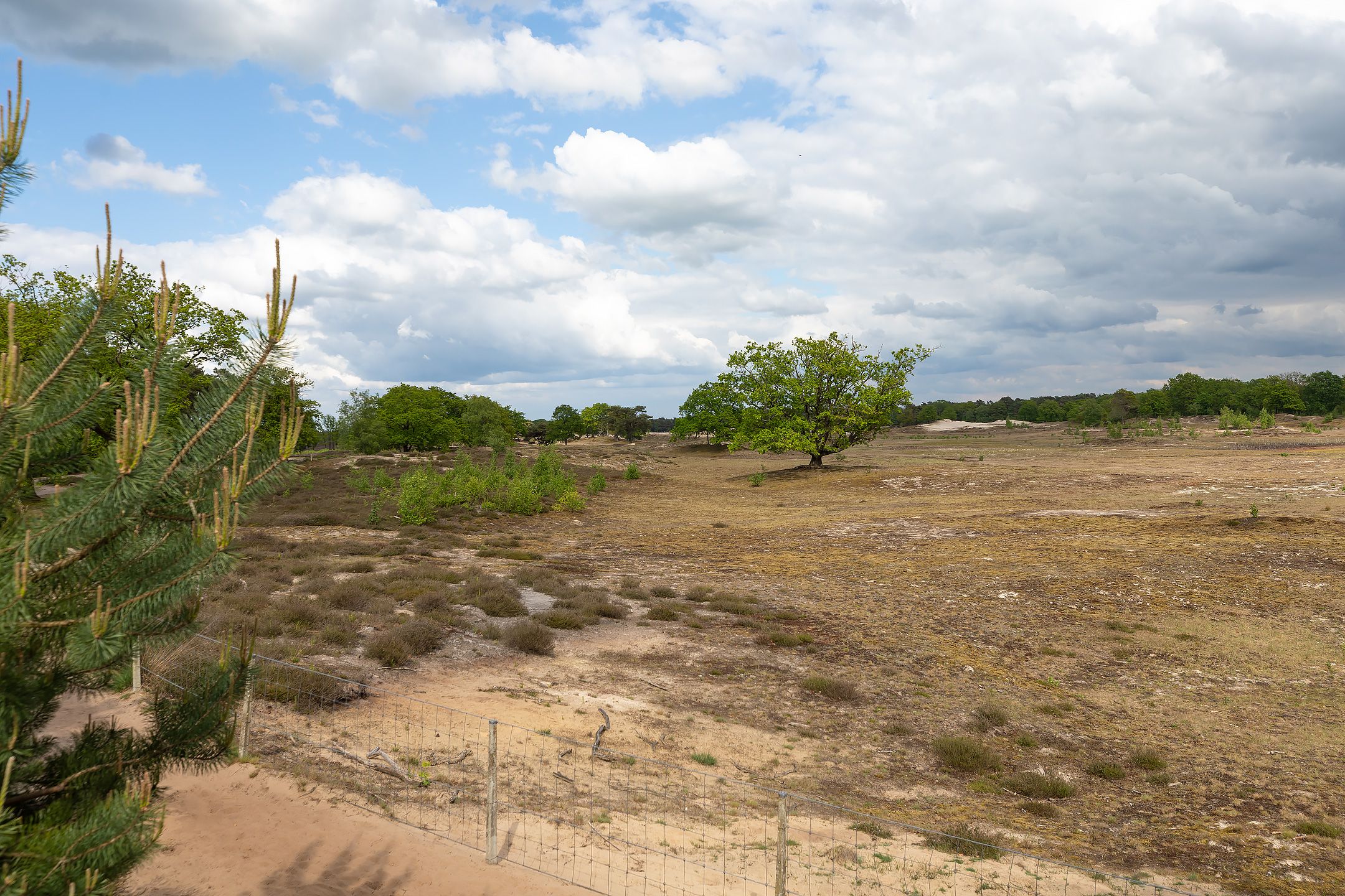 Photo 30 of Den Ool 24