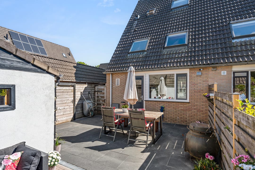 Photo 11 of Honingklaver 13