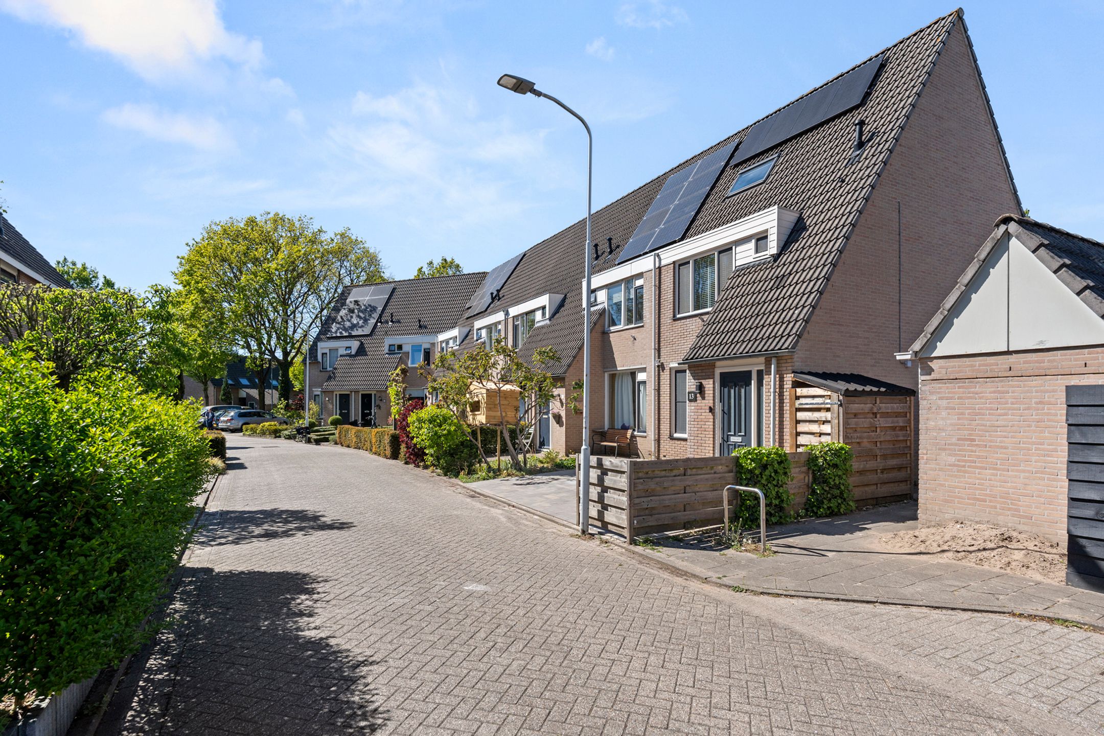 Photo 9 of Honingklaver 13