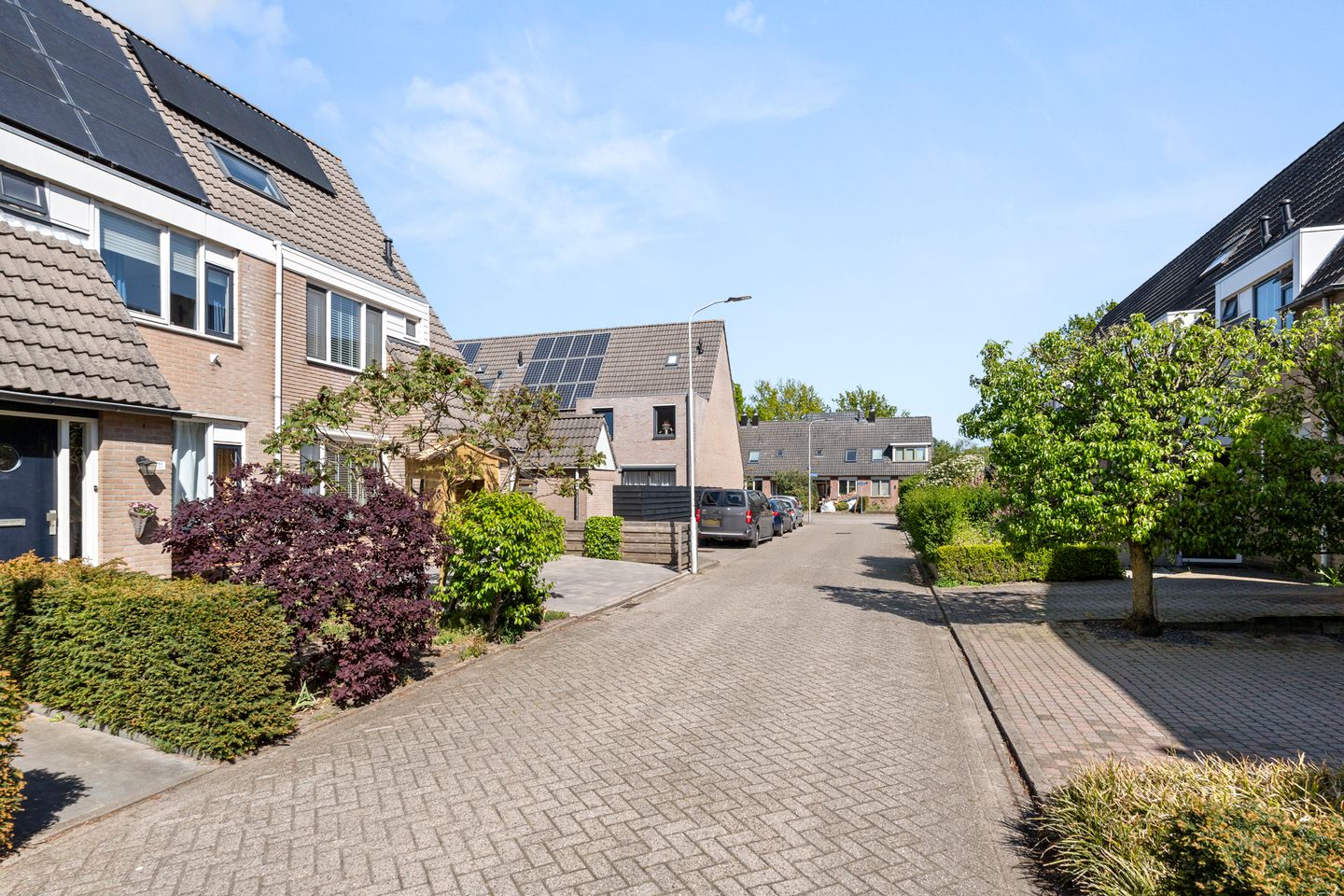 Photo 10 of Honingklaver 13