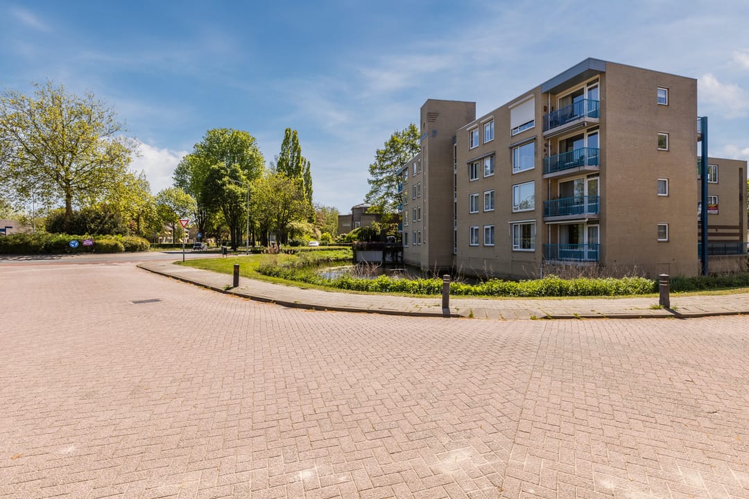 Photo 37 of Gentiaan 8