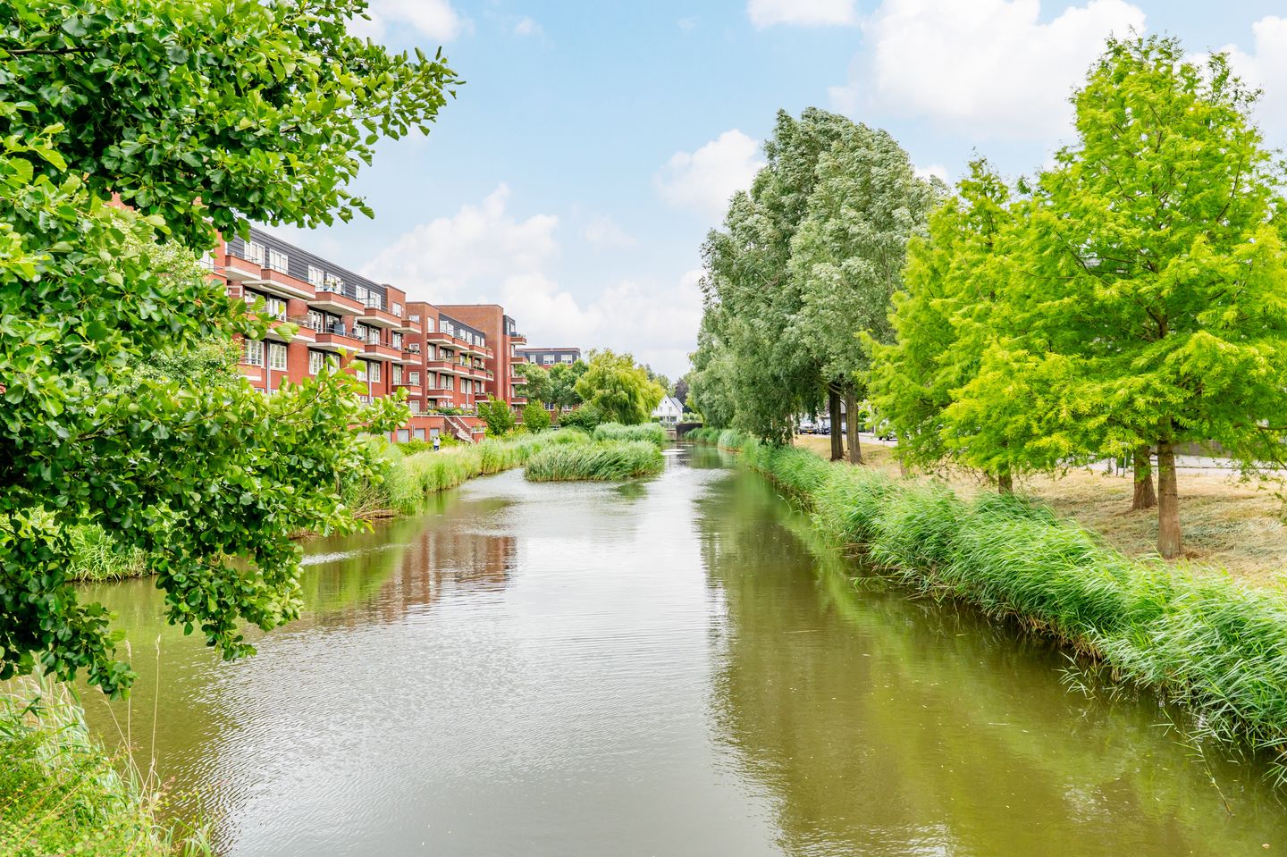 Photo 40 of Duivenvoorde 42