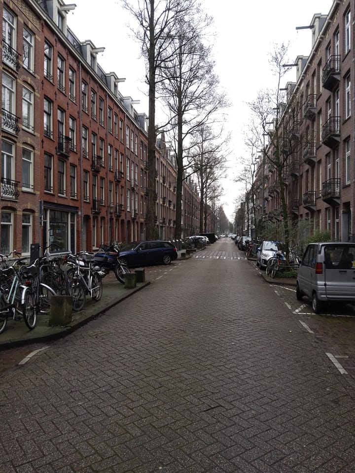 Foto 2 van Vrolikstraat 283-G