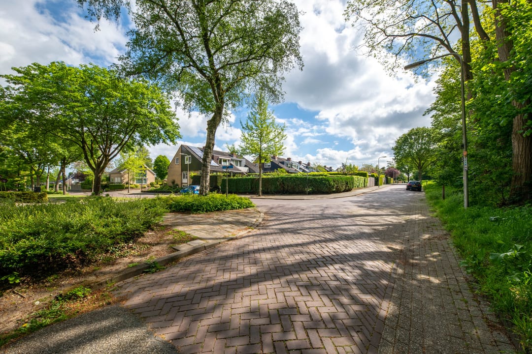 Foto 41 van Teunis Lodderstraat 40