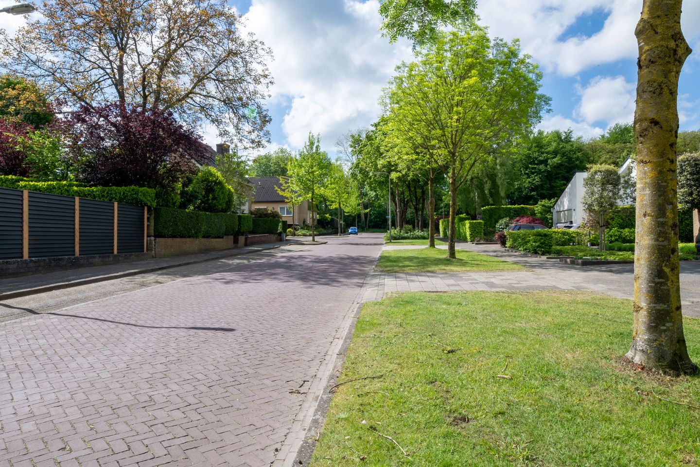 Foto 40 van Teunis Lodderstraat 40