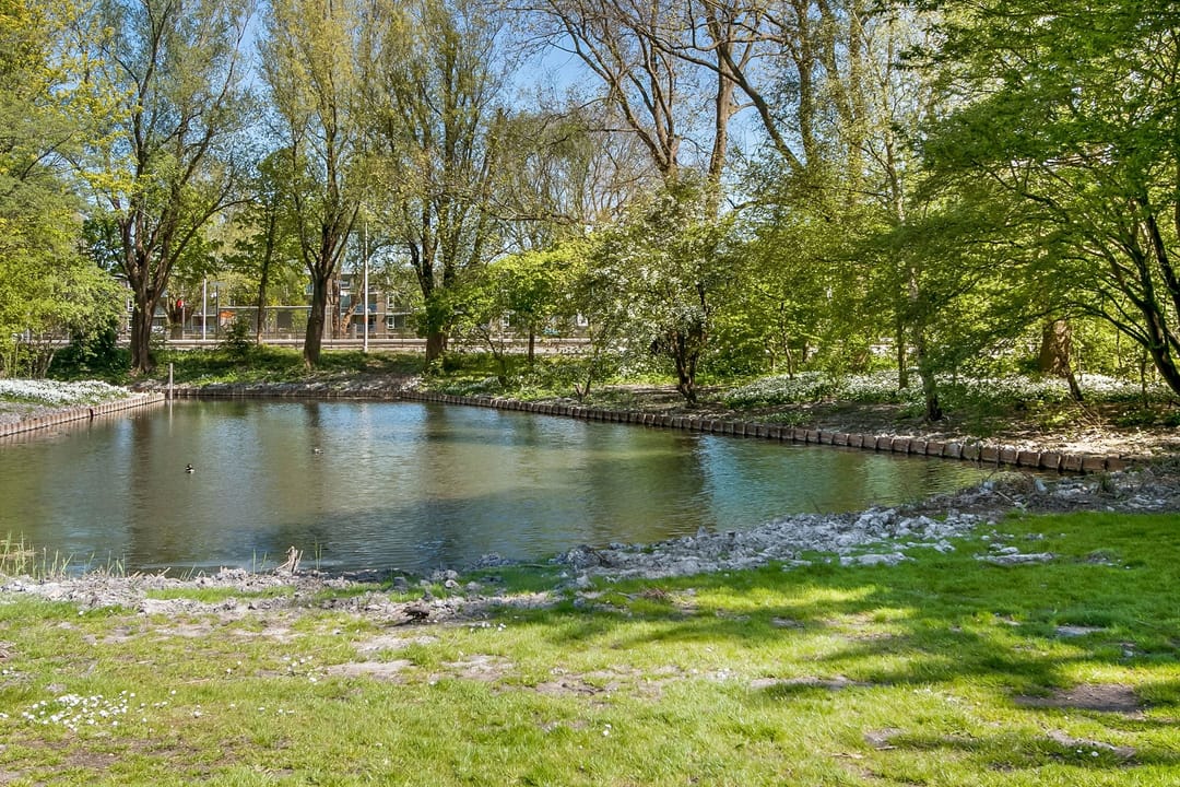Photo 26 of Van Heuven Goedhartlaan 520