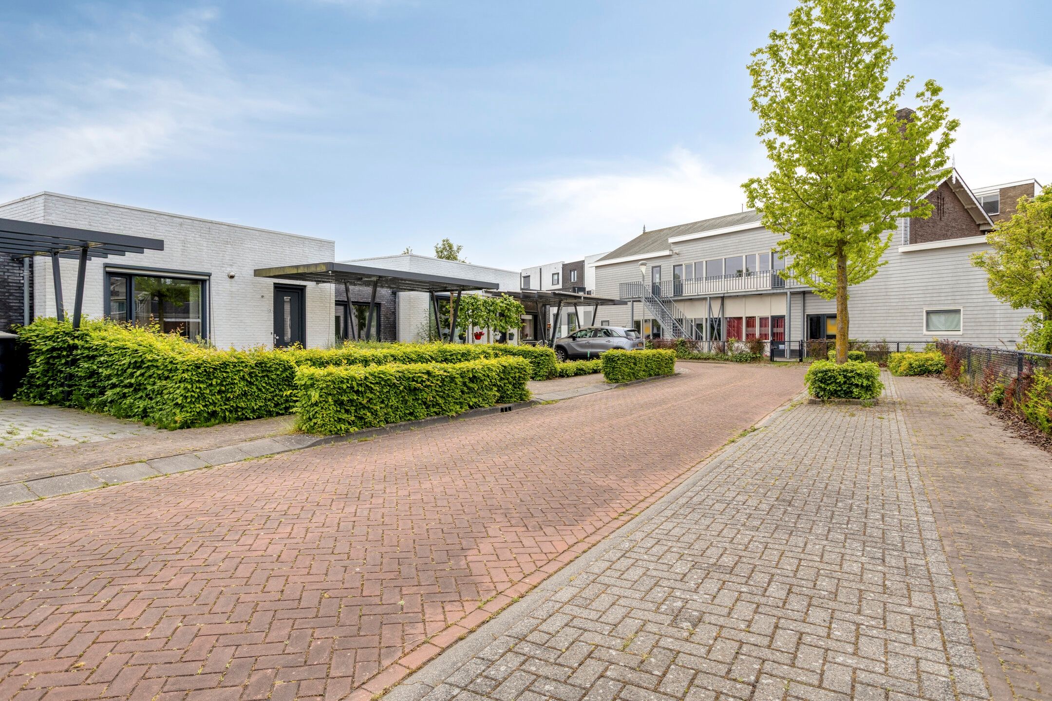 Photo 30 of De Veilingmeester 5