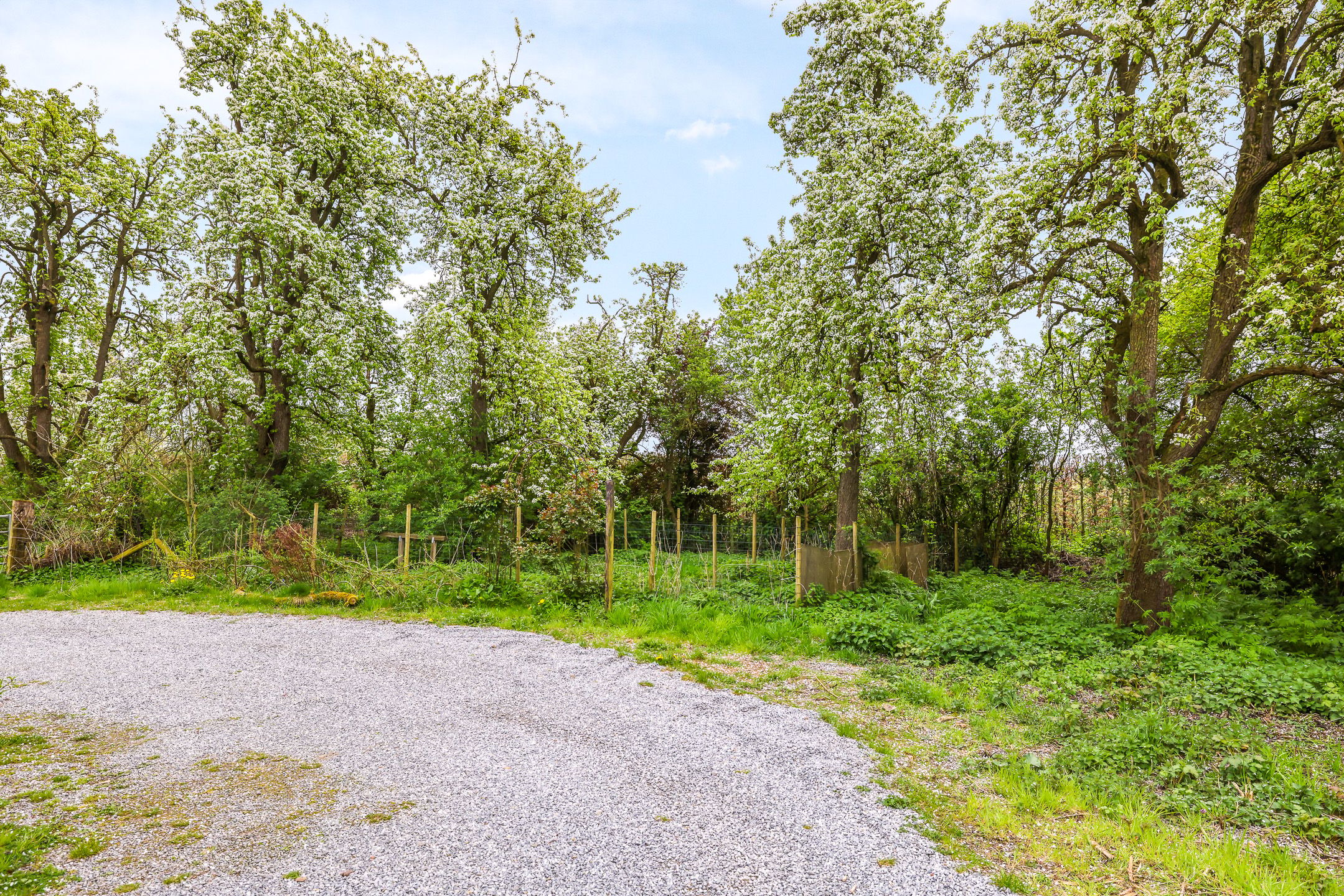 Photo 72 of Rijndijk 59