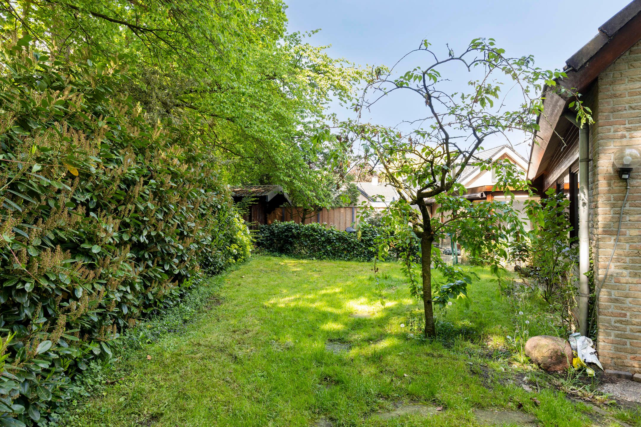 Photo 51 of Buitenhagen 6