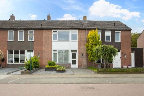 Plataanstraat thumbnail