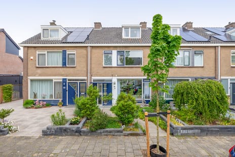 Gerberalaan thumbnail