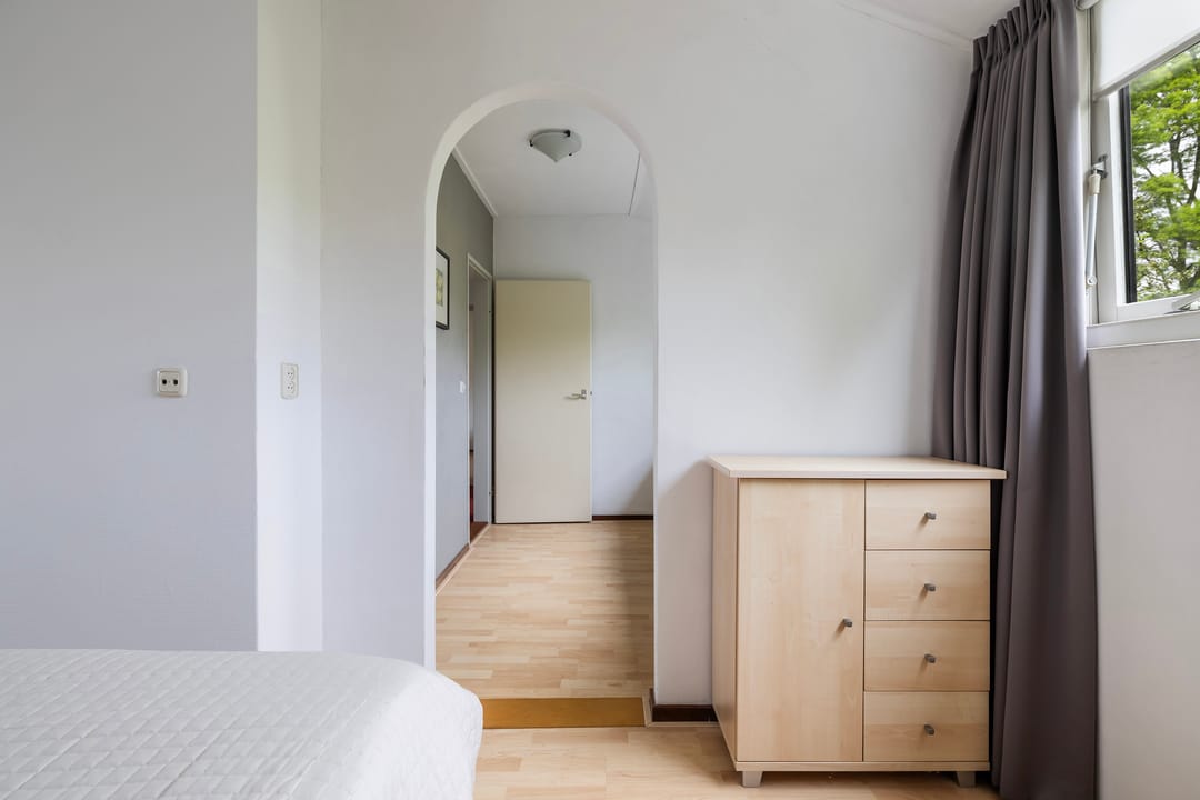Foto 41 van Grijze Kraai 11