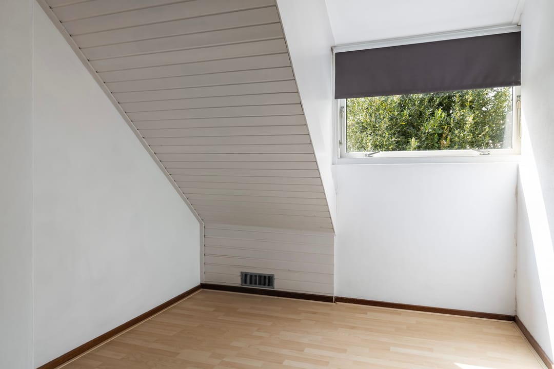 Foto 43 van Grijze Kraai 11