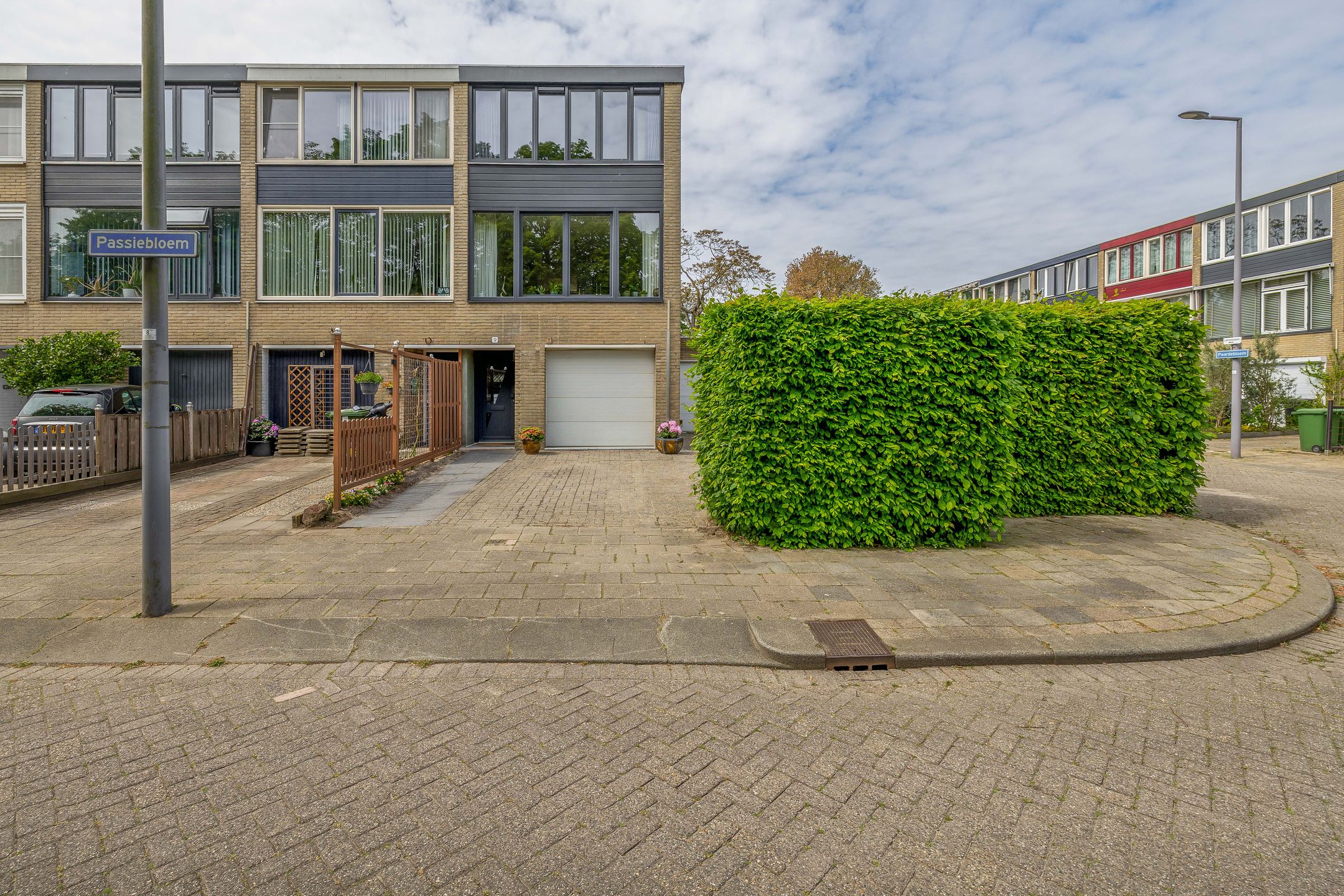 Passiebloem 9 