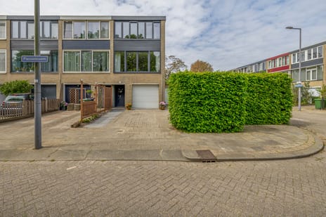 Passiebloem thumbnail