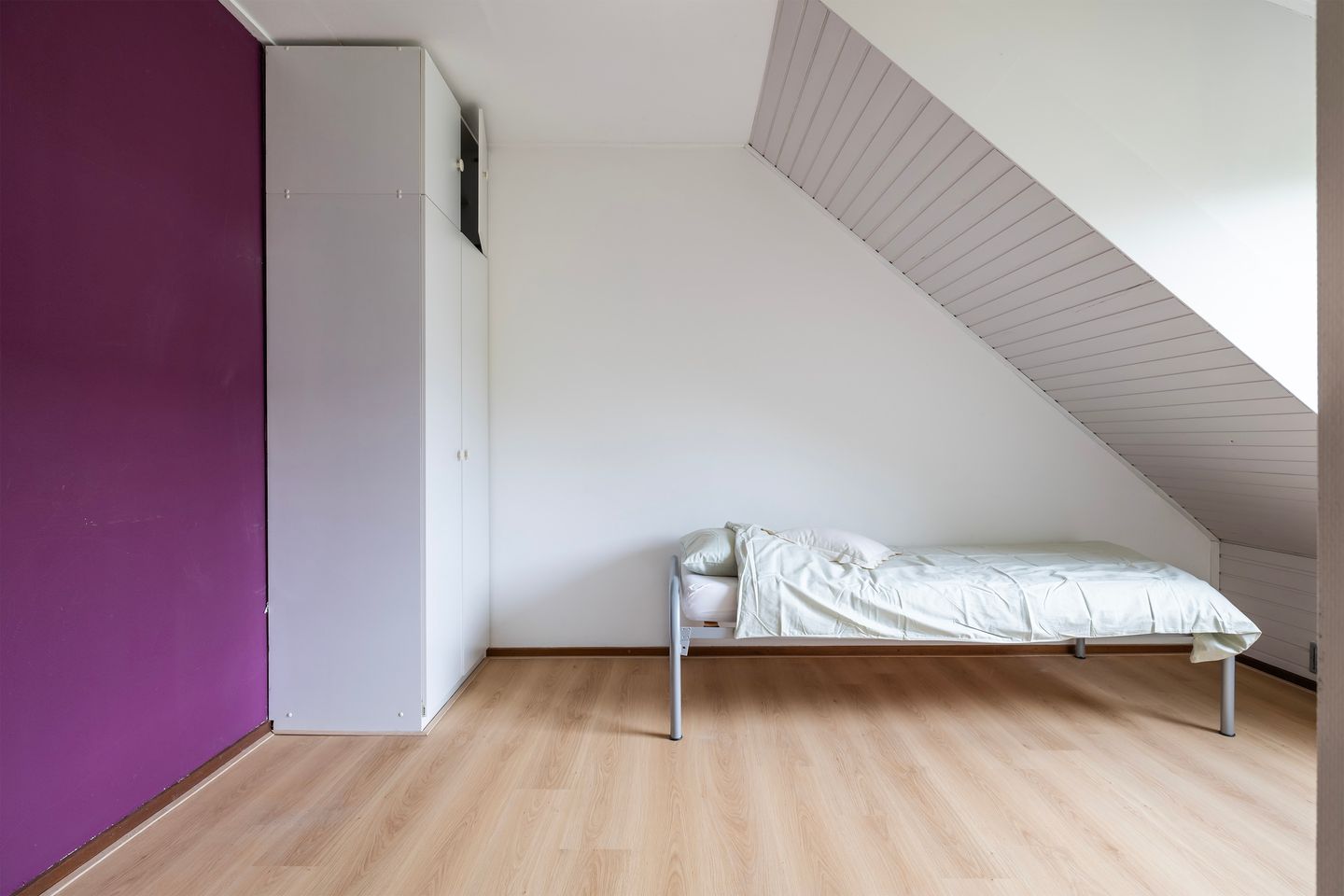 Foto 35 van Grijze Kraai 11