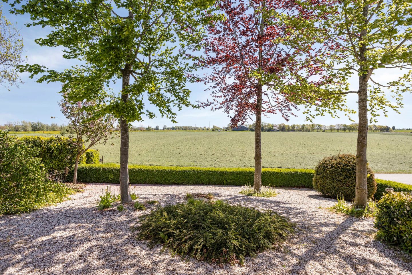 View photo 5 of Lekdijk Oost 5