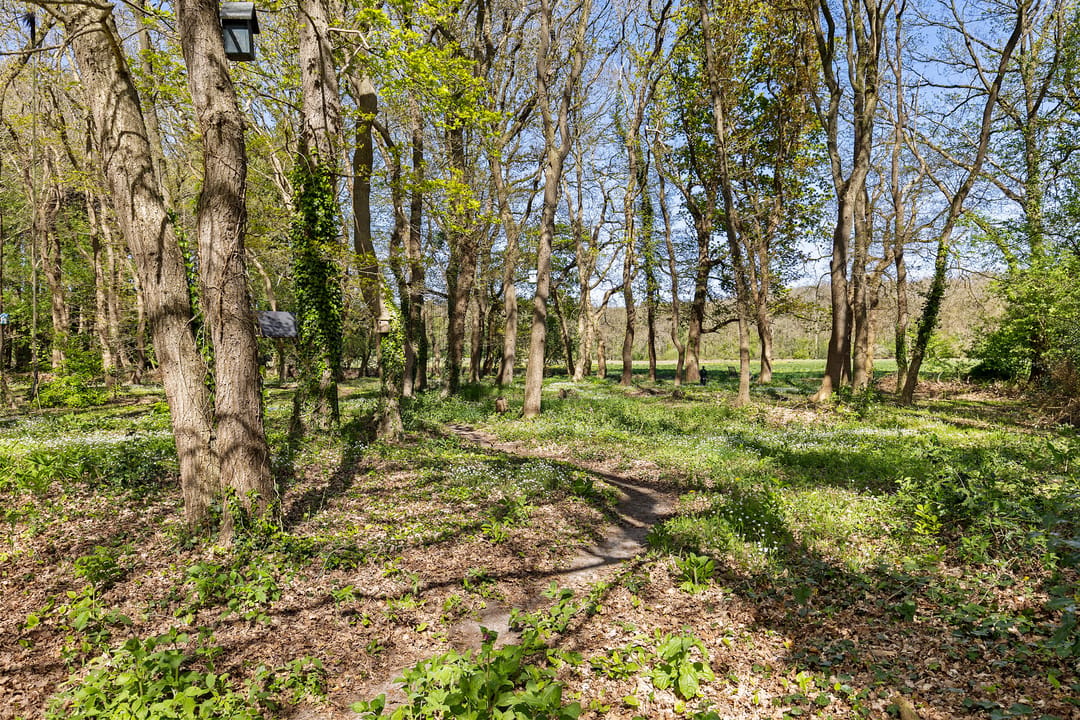 Foto 46 van Zwiggelterweg 3