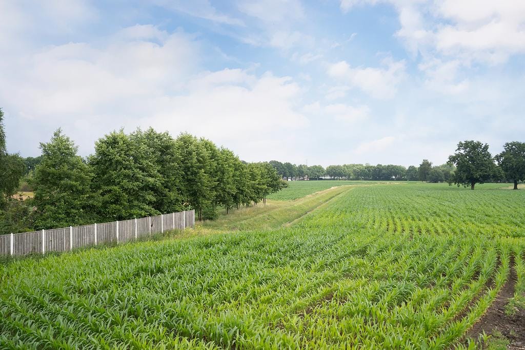Photo 40 of Hageweijer 19