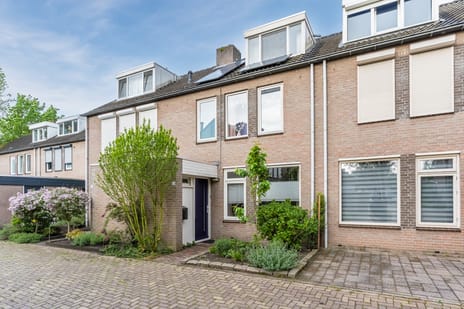 Schutsboom thumbnail