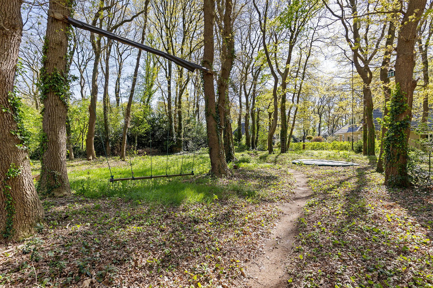 Foto 49 van Zwiggelterweg 3