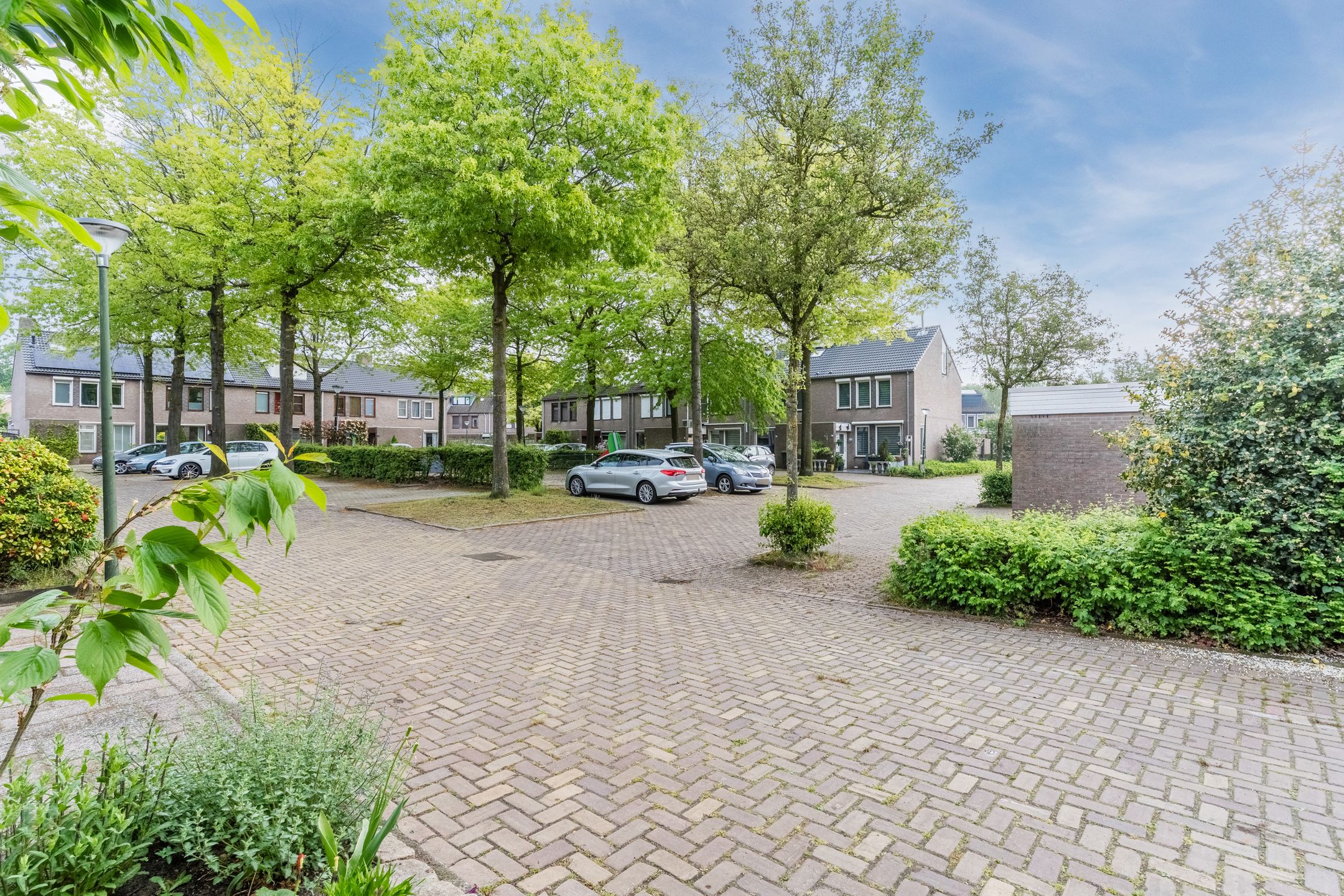 Foto 45 van Schutsboom 19