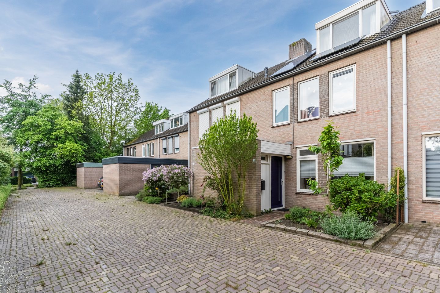 Foto 44 van Schutsboom 19