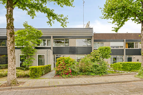 Prunusstraat thumbnail