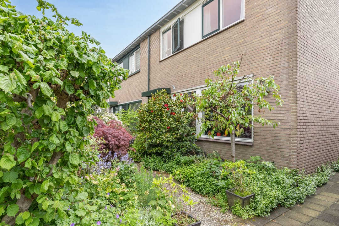 Foto 41 van Smaragd 41