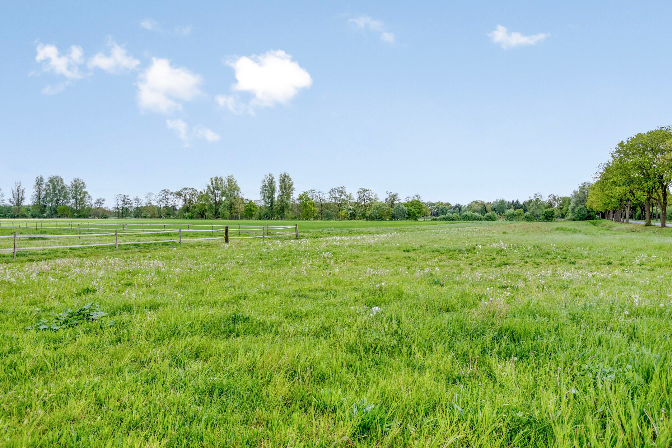Photo 54 of Wessinghuizerweg 7
