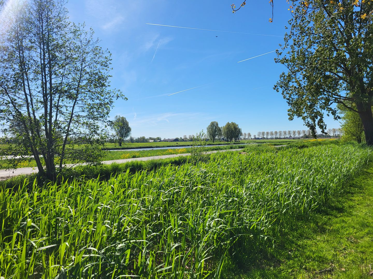 Foto 25 van Turfschip 201