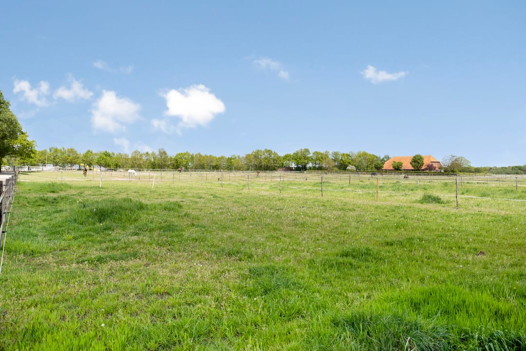 Photo 56 of Wessinghuizerweg 7