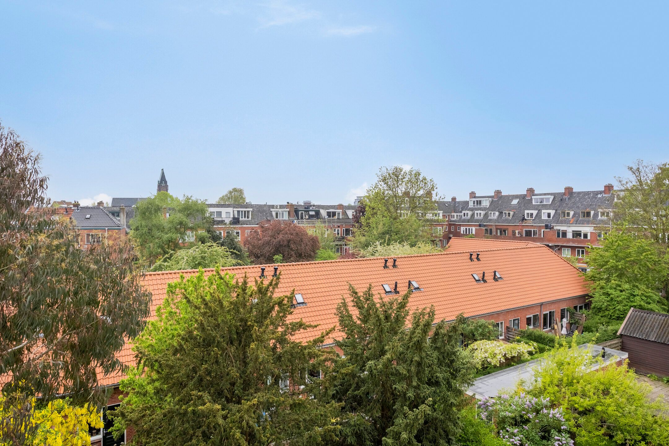 Photo 36 of Molukkenstraat 46