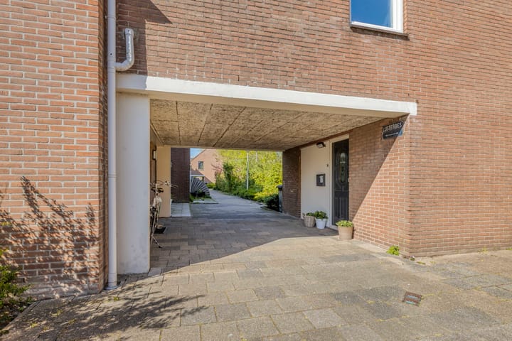 Foto 3 van Lijsterbes 16