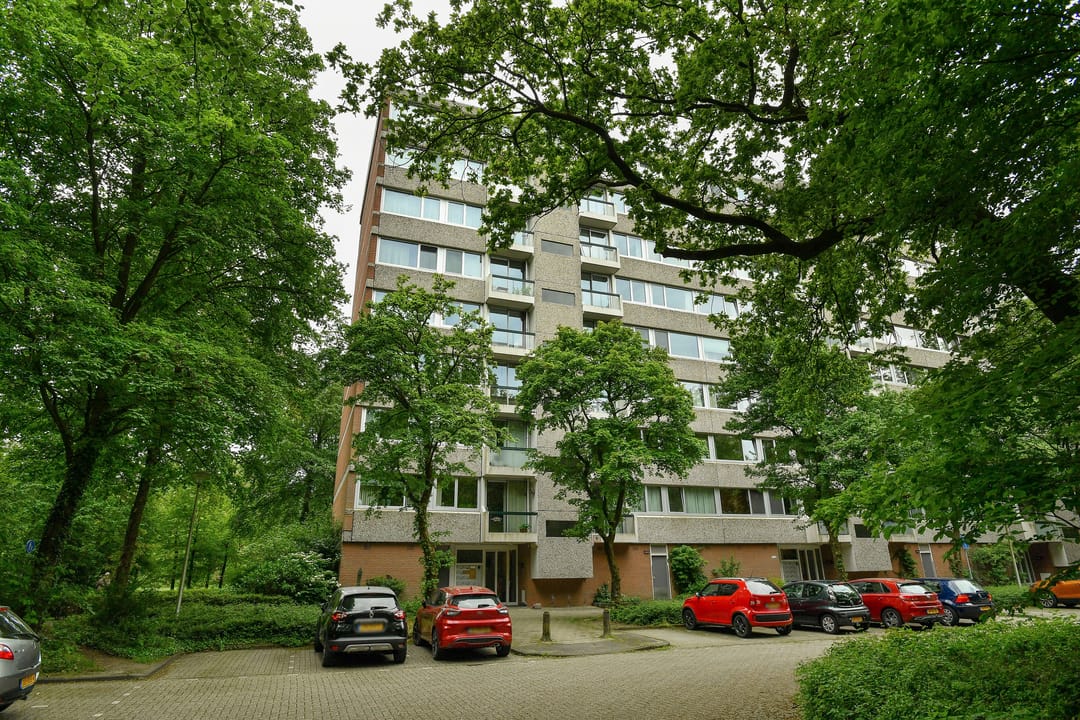 Foto 43 van Kapelleboom 80