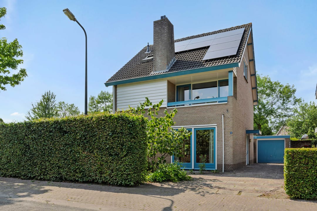 Foto 1 van De Goudplevier 1