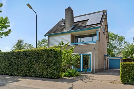 De Goudplevier thumbnail