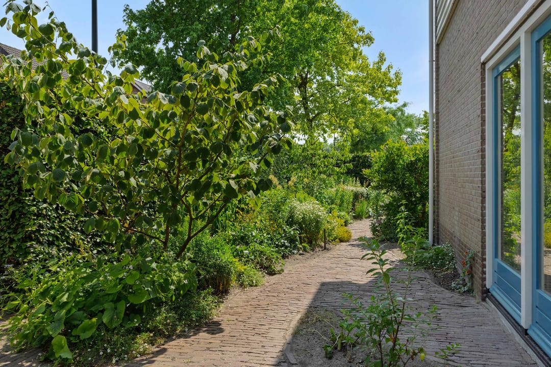 Foto 43 van De Goudplevier 1
