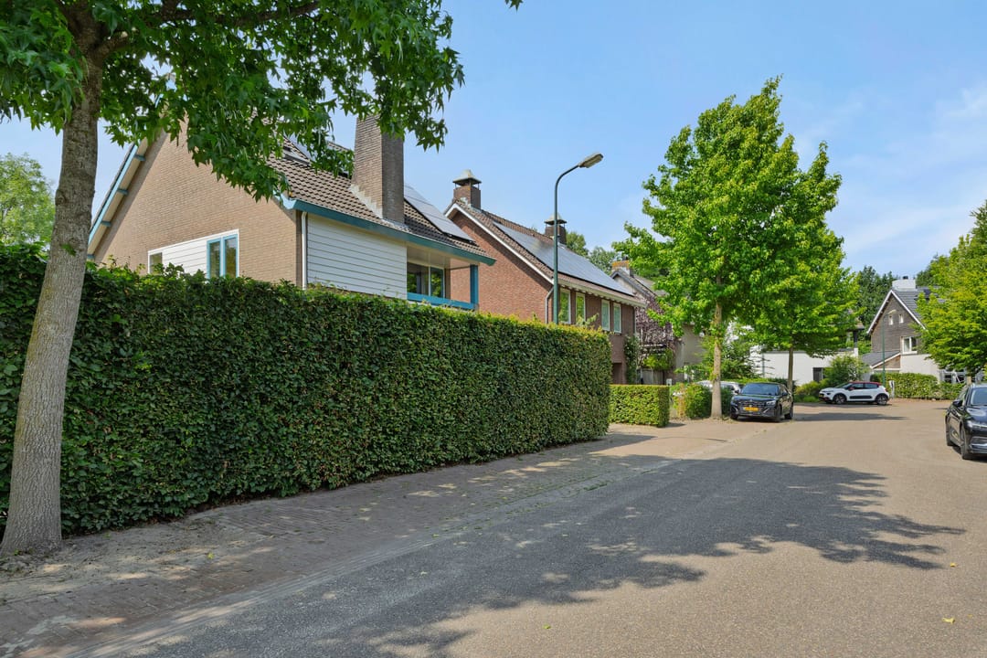Foto 46 van De Goudplevier 1