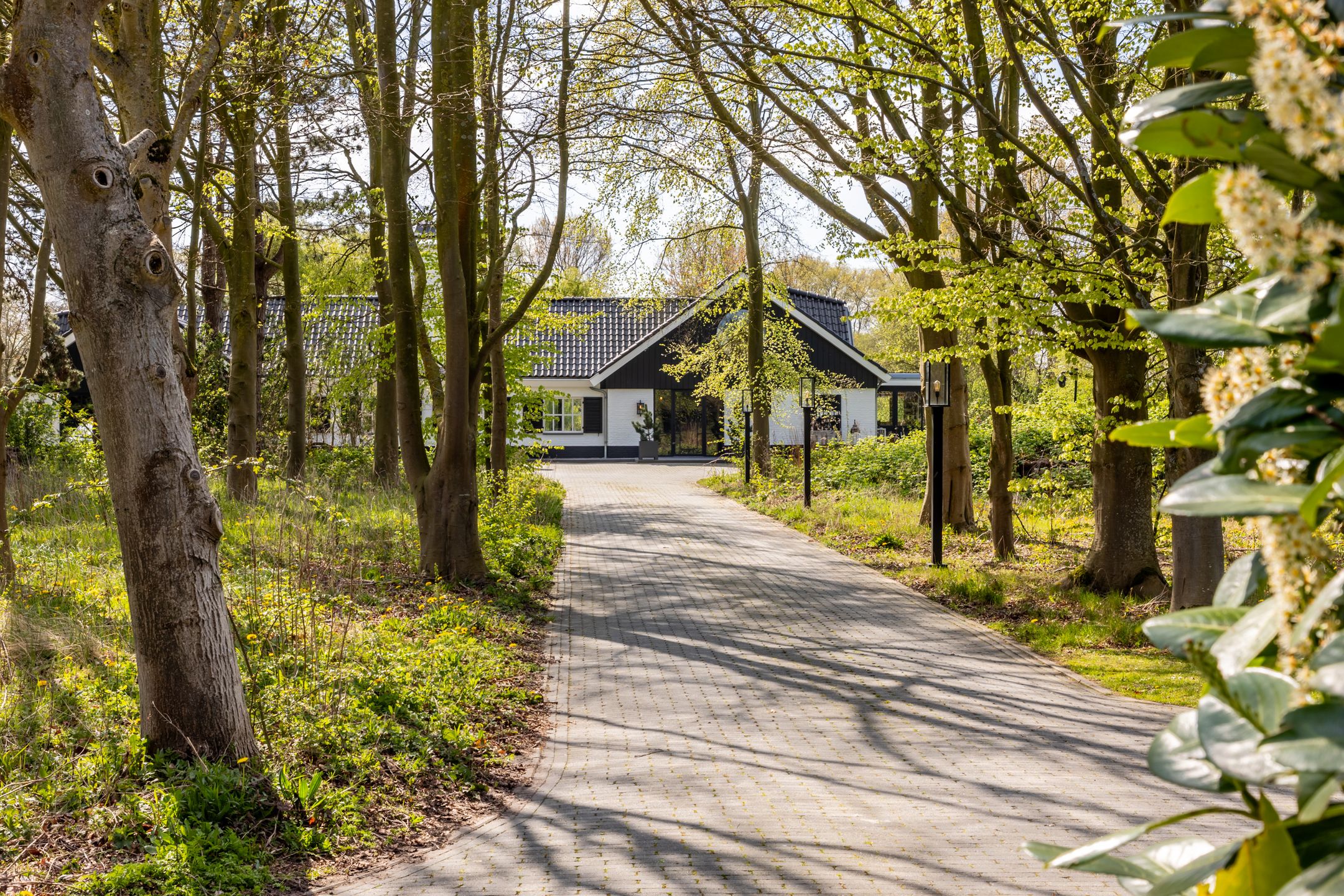 Photo 6 of Haringvlietweg 2