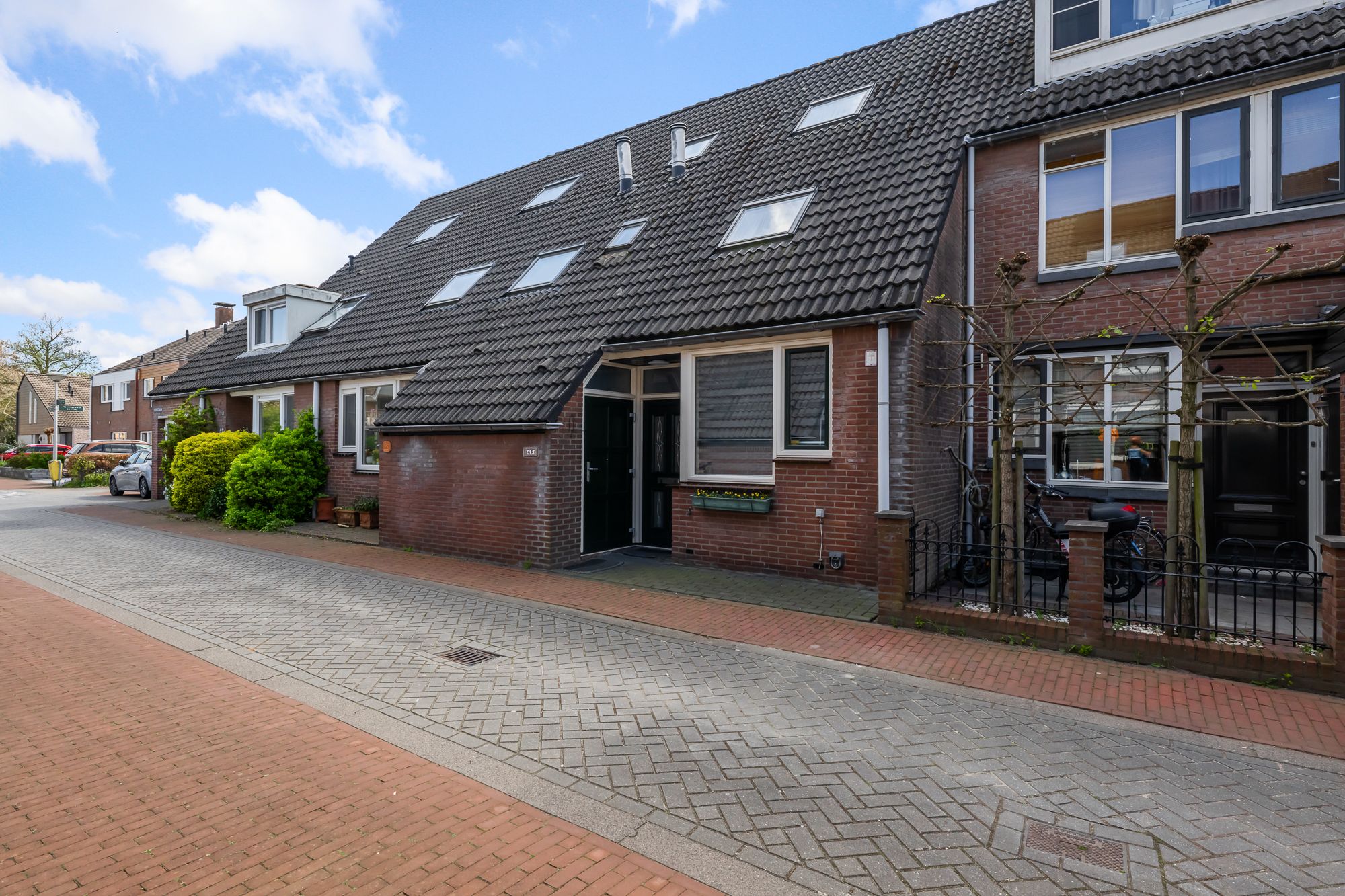 Honingzwam 48 