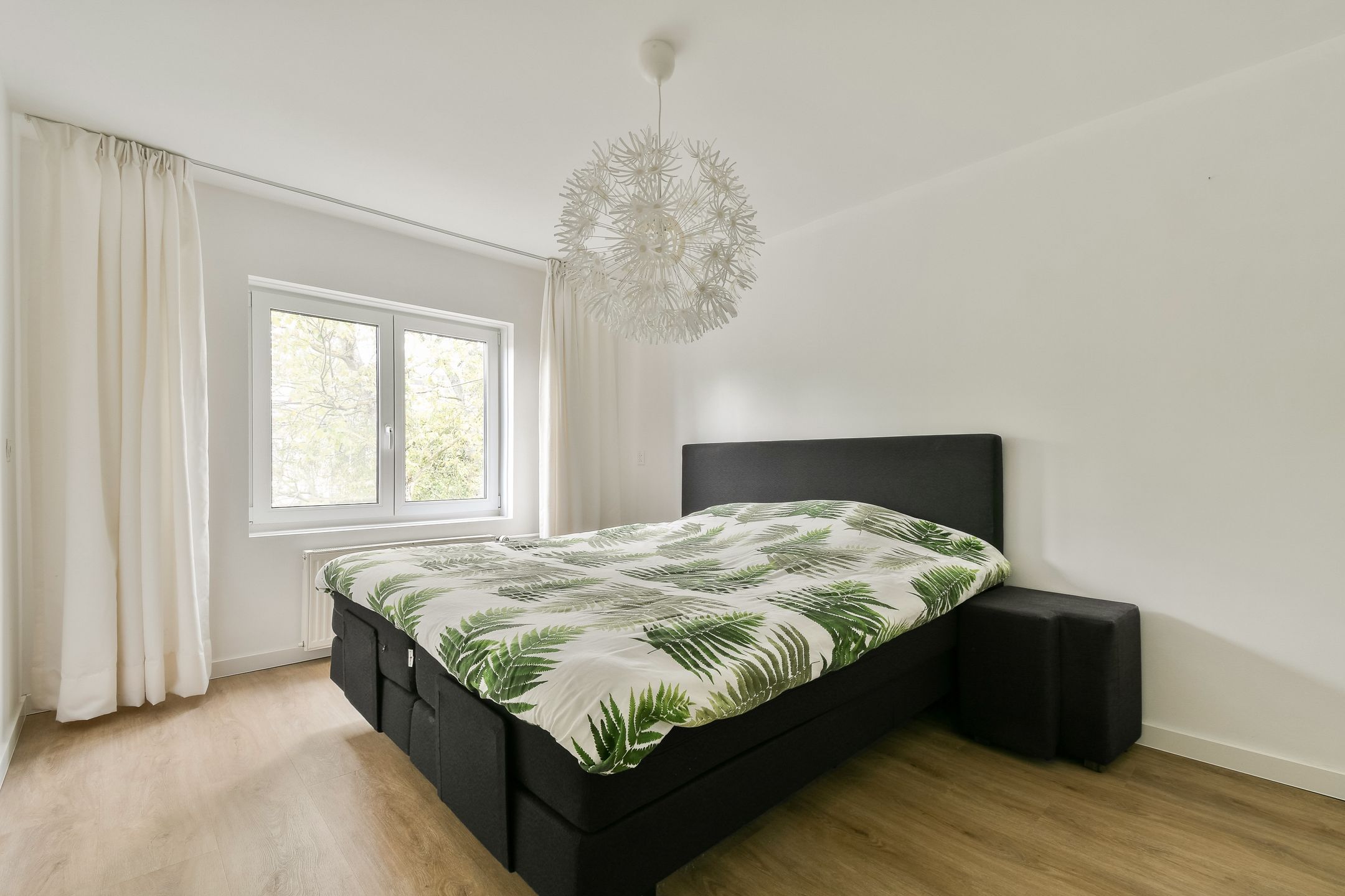 Photo 12 of Rupel 25
