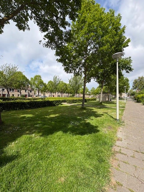 Foto 2 van Ruigewerve 9
