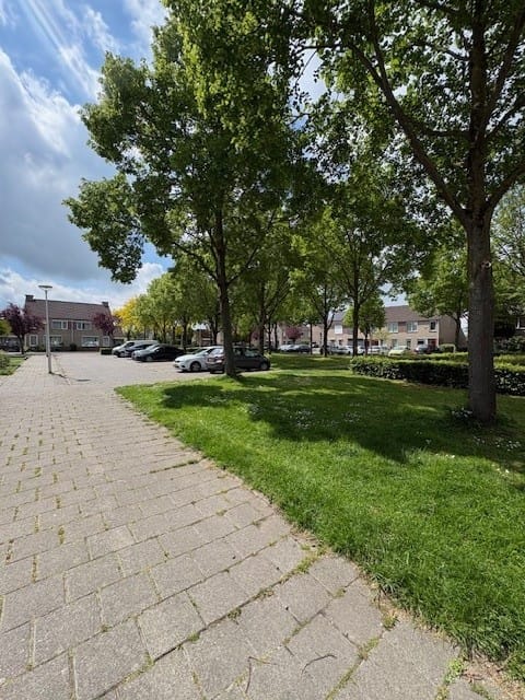 Foto 3 van Ruigewerve 9