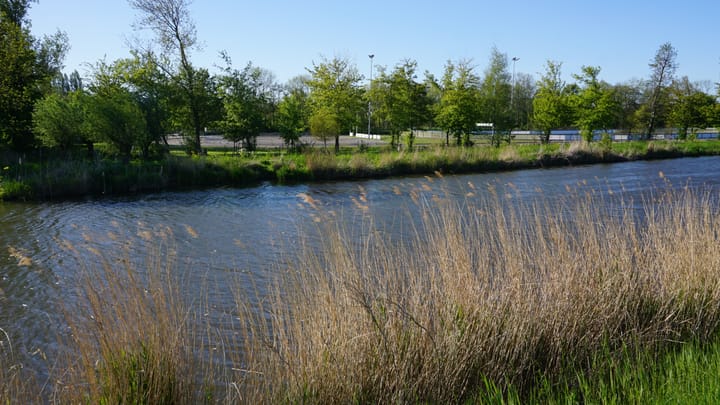 Foto 4 van Walakker 105