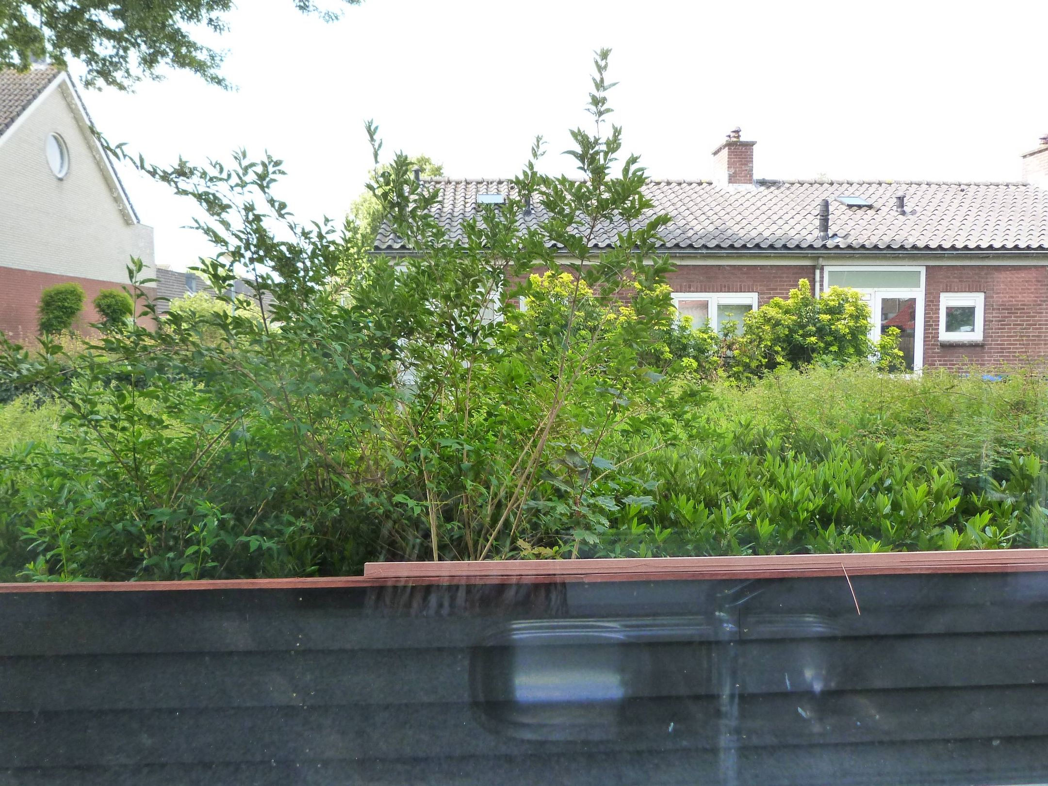 Photo 30 of Tets van Goudriaanstraat 29