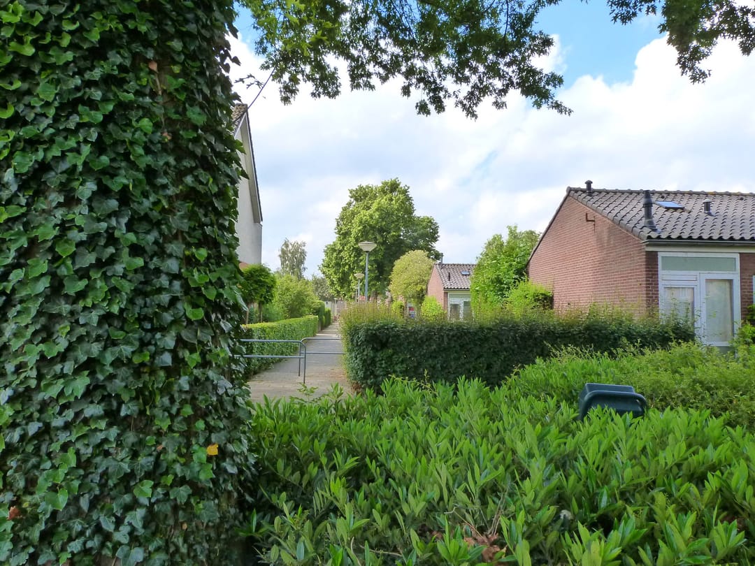 Photo 32 of Tets van Goudriaanstraat 29