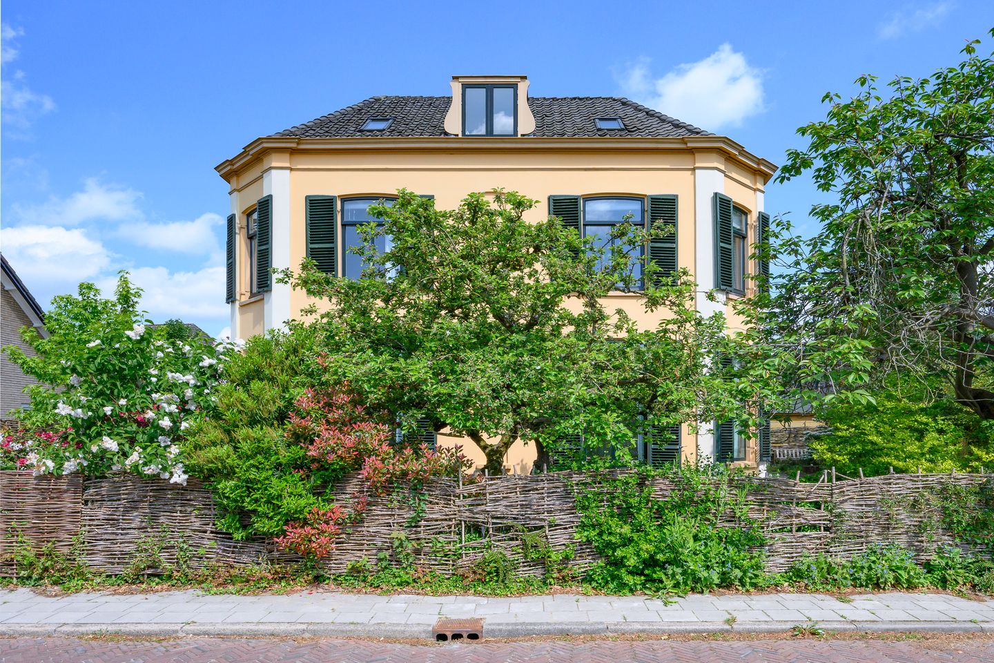 Photo 74 of Wilhelminastraat 17