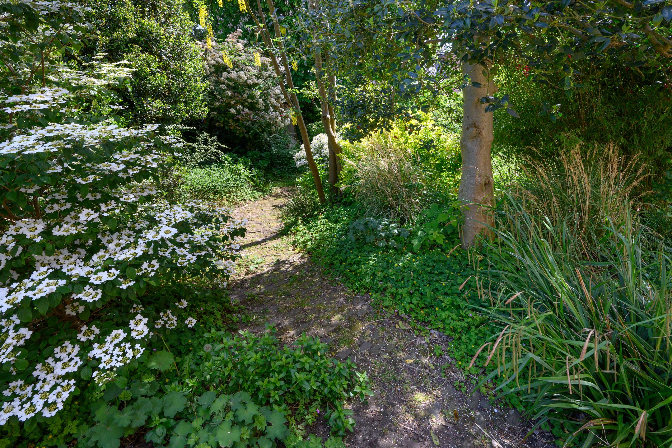 Photo 72 of Wilhelminastraat 17